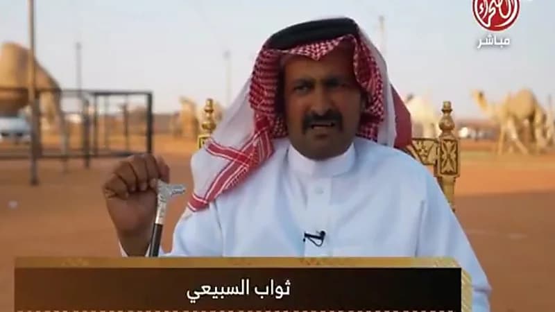 ثواب السبيعي يروي نجاحه المذهل في تجارة الإبل وتحقيق مكاسب يومية .. فيديو