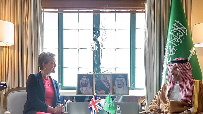 وزير الخارجية ونظيرته البريطانية يبحثان التعاون بين البلدين