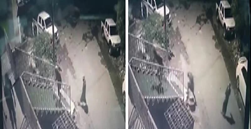 بالفيديو .. لصوص يسرقون محل تموينات في محافظة الداير بني مالك