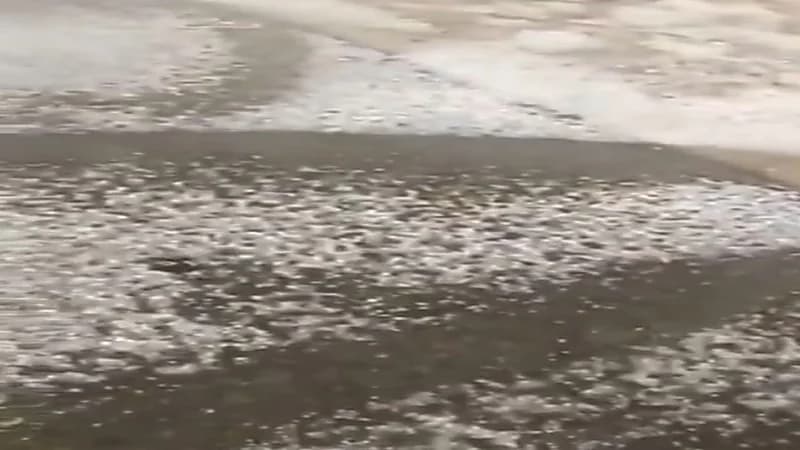 تطور جديد في الحالة الصحية للفنان خالد سامي 