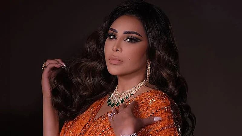 أحلام تعلق على تصنيع الماركات العالمية في الصين.. فيديو