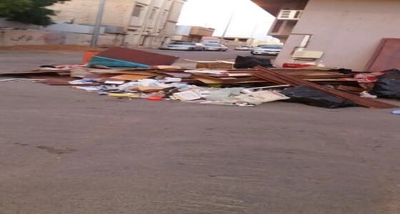 أمانة الشمالية تولى اهتمام خاصاً بالنظافة