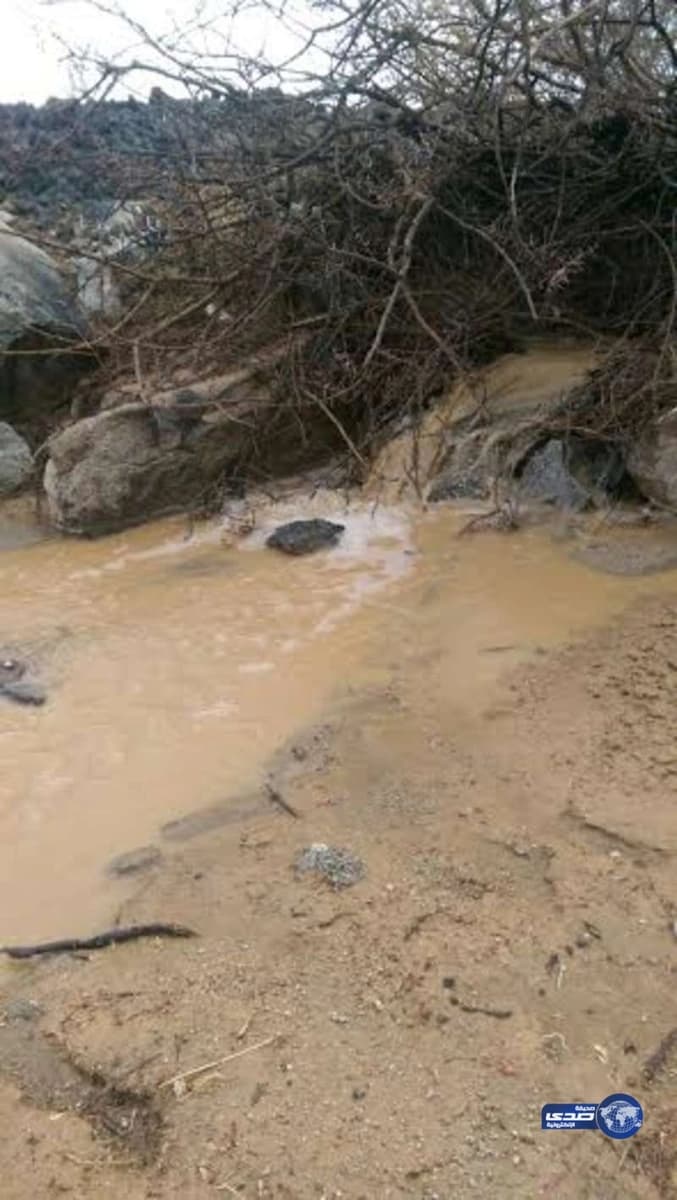 هطول أمطار خفيفة إلى متوسطة على غرب العيص..والدفاع المدني يحذر