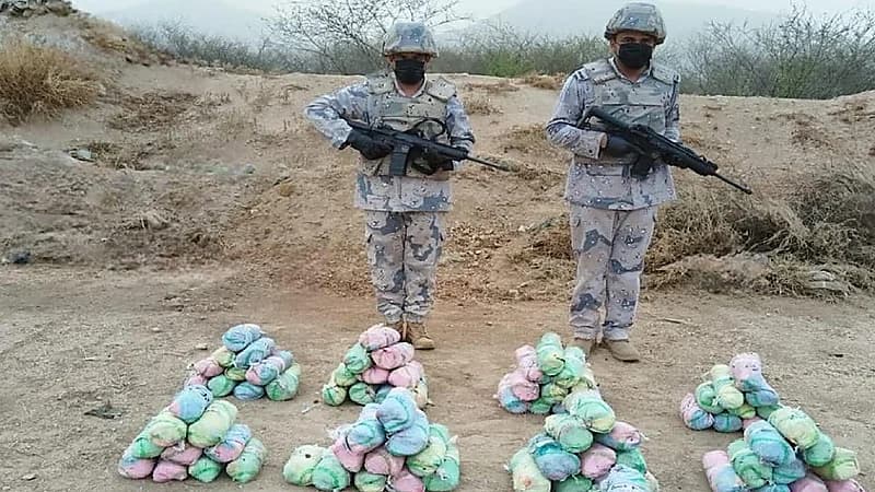 إحباط تهريب 74 كيلو جرامًا من نبات القات المخدر بجازان