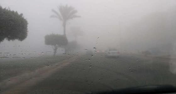 ” الأرصاد ” تحذر من رؤية غير جيدة في المنطقة الشرقية