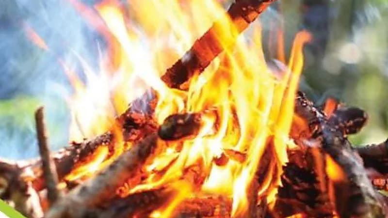 ضبط 26 مُخالفًا لنظام البيئة لإشعالهم النار في أراضي الغطاء النباتي بعسير