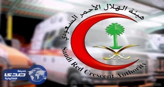 إصابة 7 من العمالة في إنقلاب مركبة بالسيل