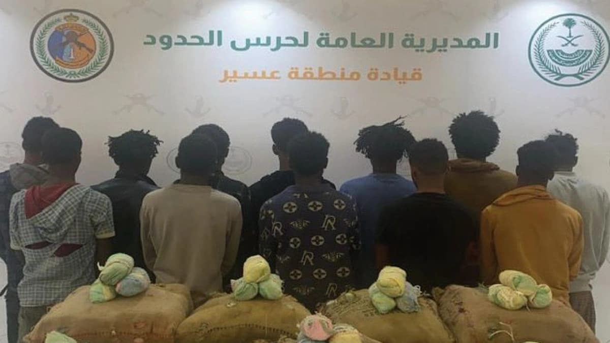 ضبط 17 مخالفًا لتهريبهم 396 كيلوجراما من نبات القات المخدر بعسير وجازان