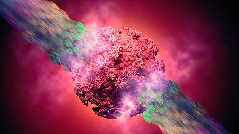 علماء: متحور "دلتا" يدمر نفسه ذاتيا