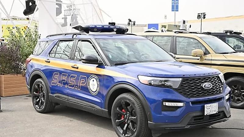 ضبط مواطن قطع الأشجار دون ترخيص في تبوك