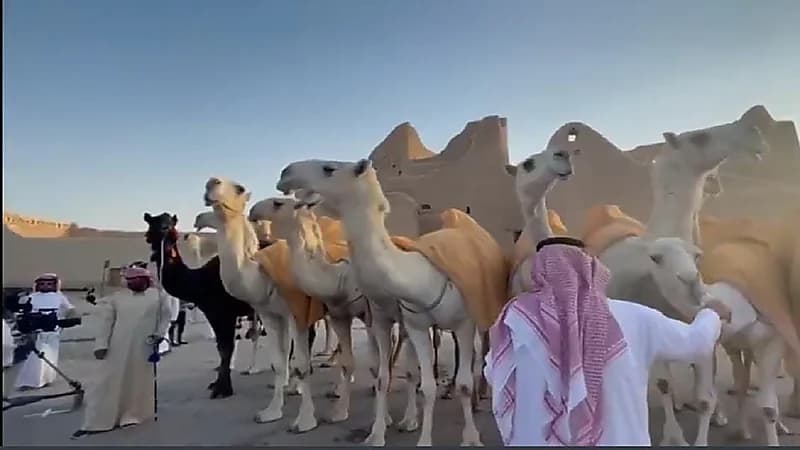 بالفيديو.. استعراض منقية قطامات في ‎الدرعية ضمن احتفالات اليوم الوطني