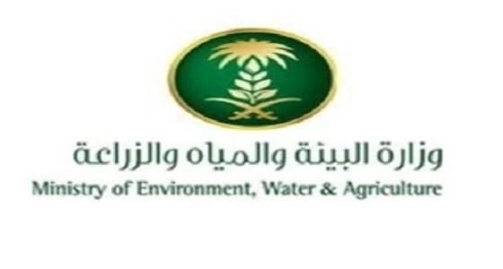 البيئة تطلق حملة تشجير نجران