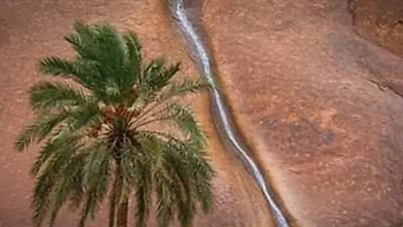 صدفة وخطأ بخدمة الخرائط في حائل تقود مواطن إلى صورة وجائزة "فيديو"