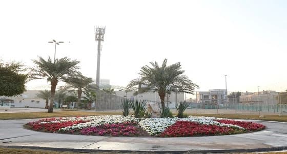 بالصور.. زراعة أكثر من 450 ألف زهرة بمدينة الخبر