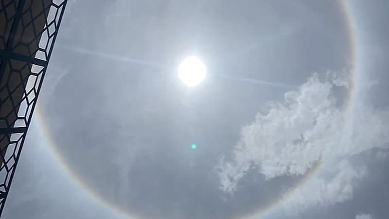 الحقيل: هالة الشمس الكبيرة في سماء الرياض اليوم شيء طبيعي جدًا