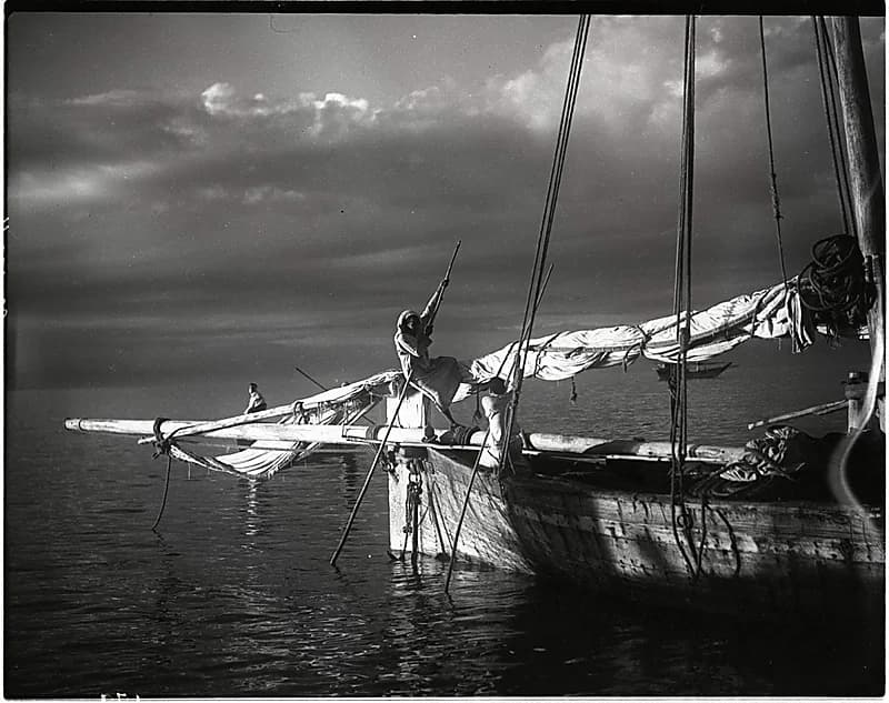 صورة قديمة رائعة بالمملكة تؤسر القلوب