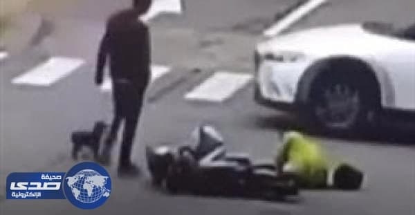 بالفيديو.. كلب يطارد سيارة صدمت صاحبته على الطريق لانقاذها