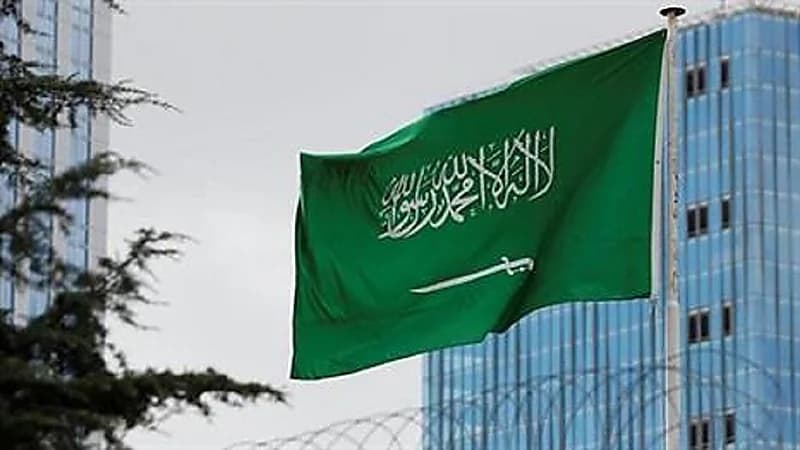 المملكة تؤكد التزامها ببنود اتفاقية حظر الأسلحة التقليدية الفتاكة