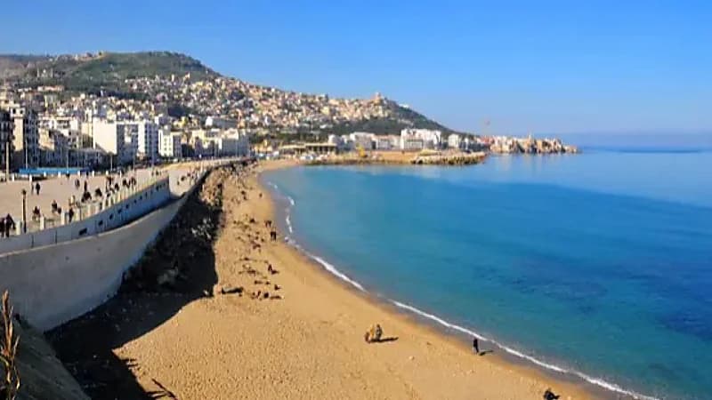 7 أطفال يصلون السواحل الإسبانية عبر قارب مسروق من الجزائر.. فيديو