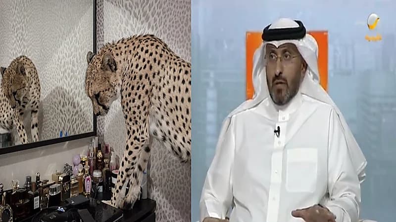 متحدث الحياة الفطرية يكشف كيف امتلك البعض حيوانات مفترسة رغم عدم الترخيص