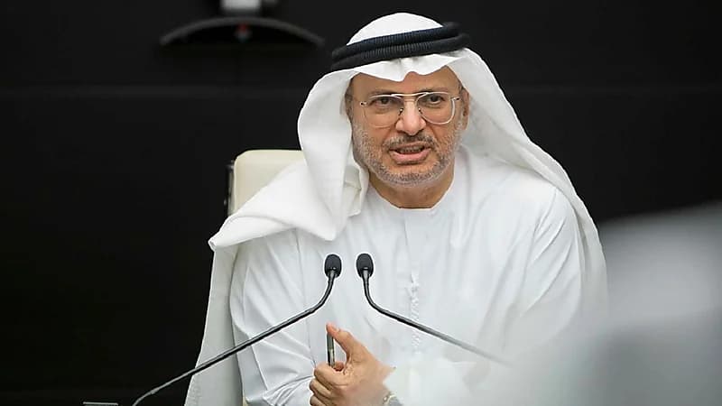 قرقاش يعلق على تمزيق المصحف الشريف