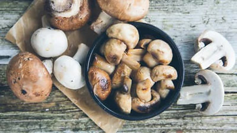 فوائد خارفة لـ "الفطر" في محاربة السرطان والسكري والزهايمر