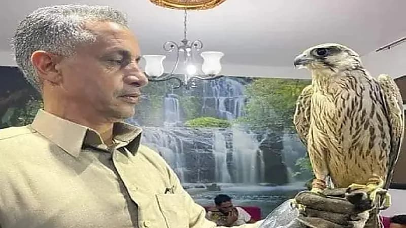 بالصور.. بيع أغلى صقر في العالم في مزاد علني