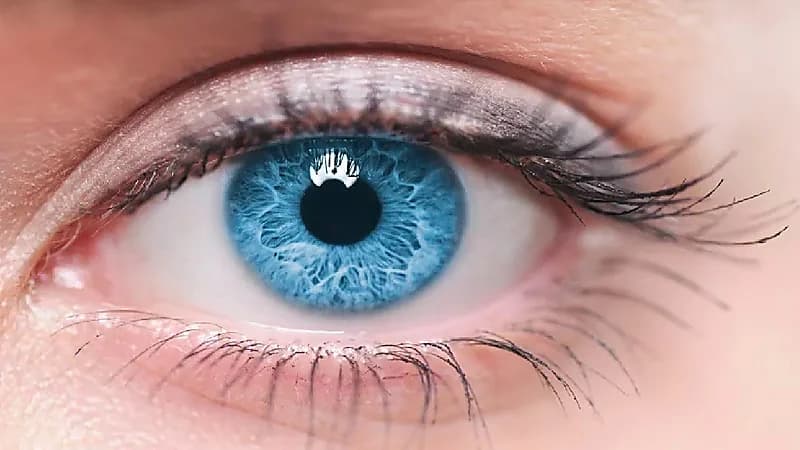 أعراض في العين تستدعي الذهاب إلى الطبيب