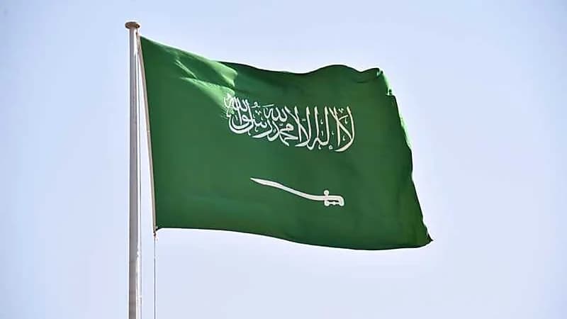 المملكة تؤكد أهمية اعتماد اللغة العربية ضمن لغات نظامي مدريد ولاهاي