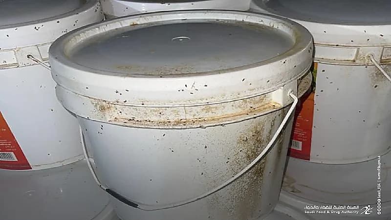 بالصور .. إيقاف شحنة مخللات ملوثة كانت في طريقها لأسواق المملكة