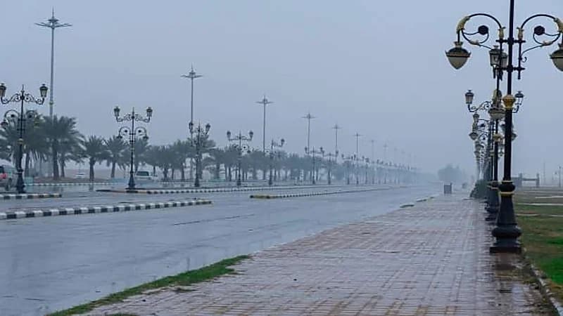 الحصيني: أجواء شديدة البرودة وصقيع غدًا