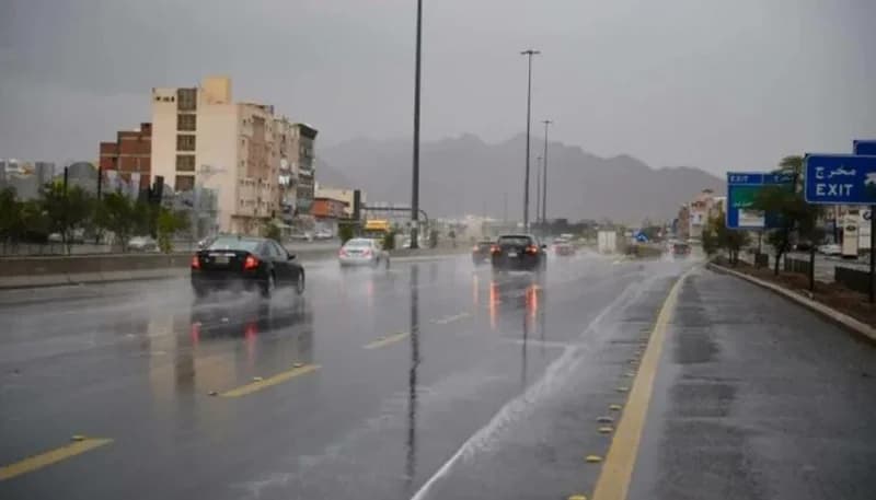 الحصيني يتوقع: حالة جوية ممطرة تبدأ الأربعاء القادم على عدة مناطق