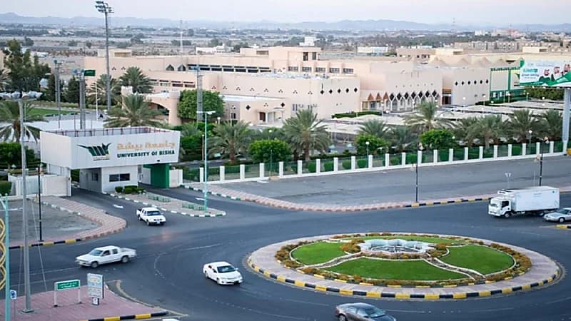 جامعة بيشة تعلن عن وظائف شاغرة لسد احتياج الكليات بنظام التعاون