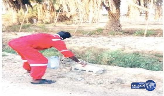 «الجمعية البيطرية السعودية»: تسميم الكلاب الضالة «تصرف وحشي».. ويمكن الاستفادة منها في القطاع البحثي