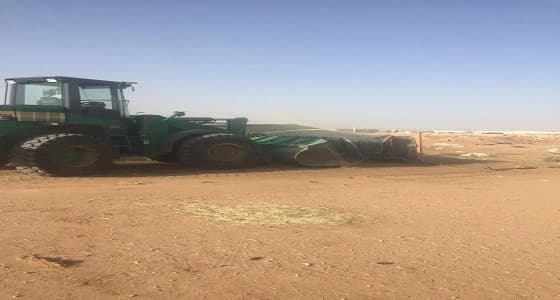 بالصور.. إزالة 13 مسلخ عشوائي و 6 مخيمات و5 حظائر للماشية بالروضة