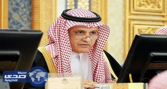 عضو بالشوري يضع حلا للتغلب على البطالة