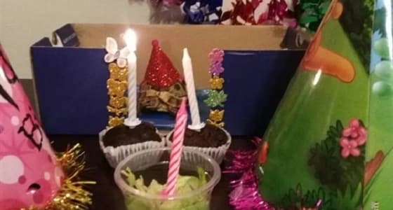 بالصور.. عيد ميلاد سلحفاة يشعل الإنترنت