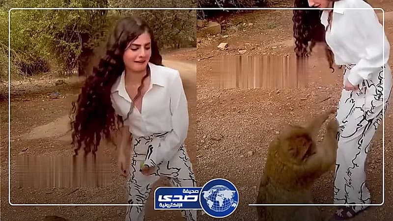 قرد قليل أدب يتحرش بفتاة حاولت اطعامه .. فيديو