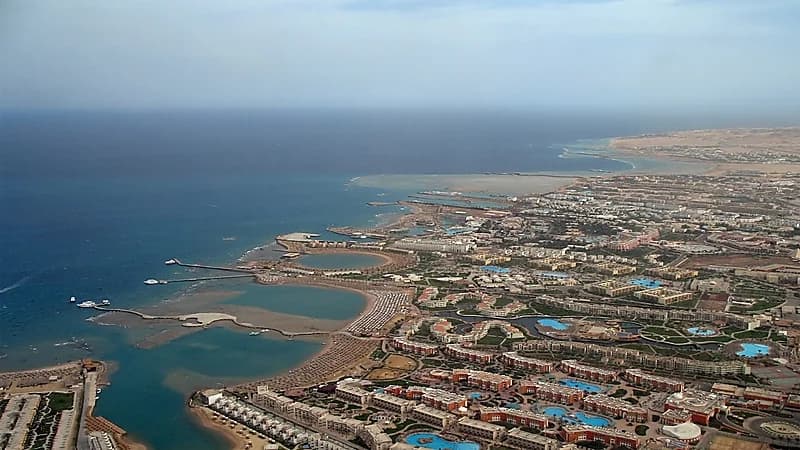 أول إجراء مصري بعد مهاجمة سمكة قرش لسائحة