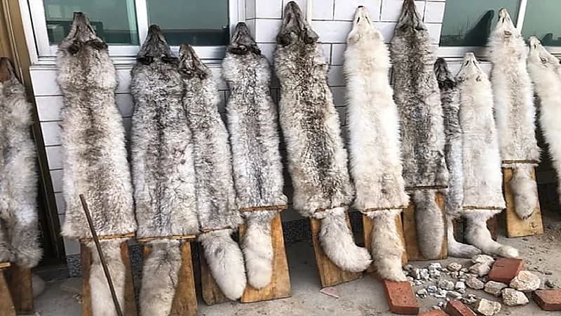 تحذير من كارثة جديدة قد تؤدي لإصابة الإنسان بموت مفاجئ