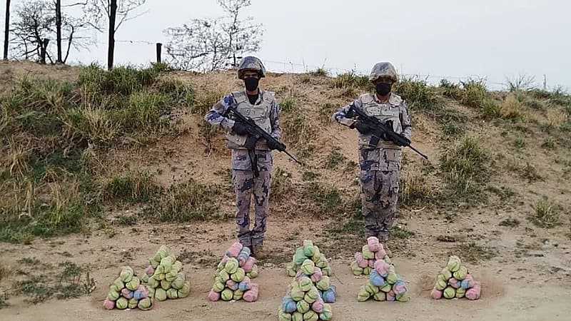 إحباط تهريب 135 كلجم من نبات القات المخدر بجازان