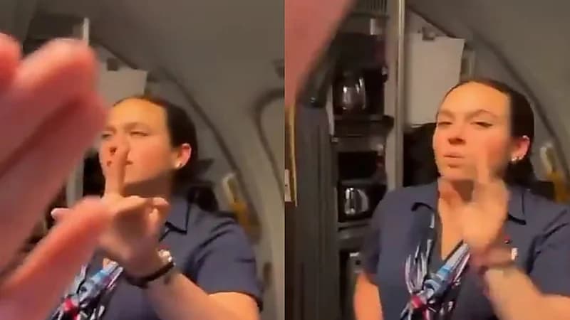 راكب يهودي يهاجم مضيفة طيران لتضامنها مع فلسطين.. فيديو