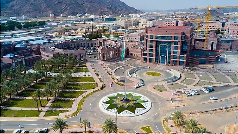 تحذير من جامعة طيبة للراغبين في التقديم ببرامج البكالوريوس والدبلوم