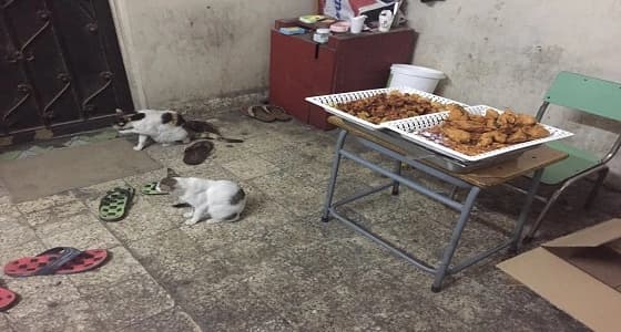 بالصور.. ضبط 4 شقق سكنية مخالفة لتحضير الأطعمة وتوزيعها بوسط الدمام