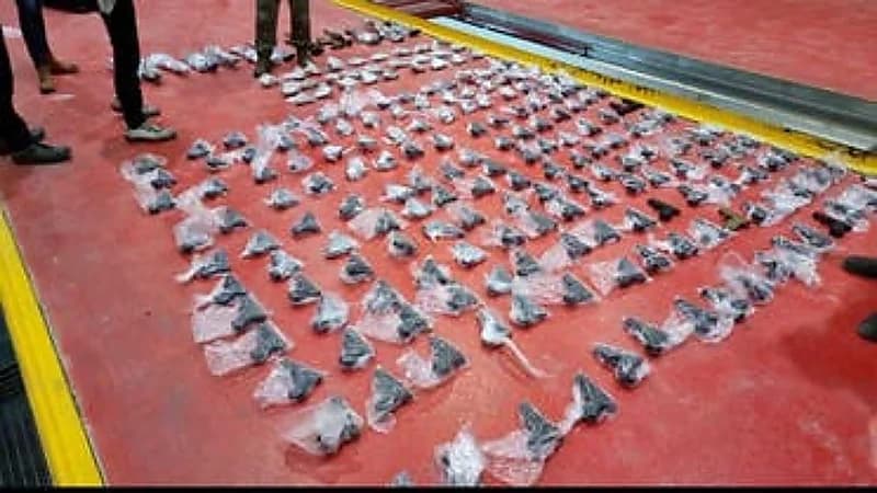 إسرائيل توقف نائيا أردنيا بتهمة تهريب السلاح لفلسطين