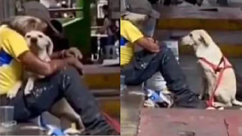 شاهد.. كلب يحتضن مشردا وسط الشارع