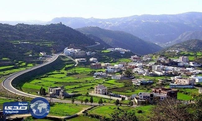 القبض على 4 مواطنين بتهمة قتل وافد أفريقى بالباحة