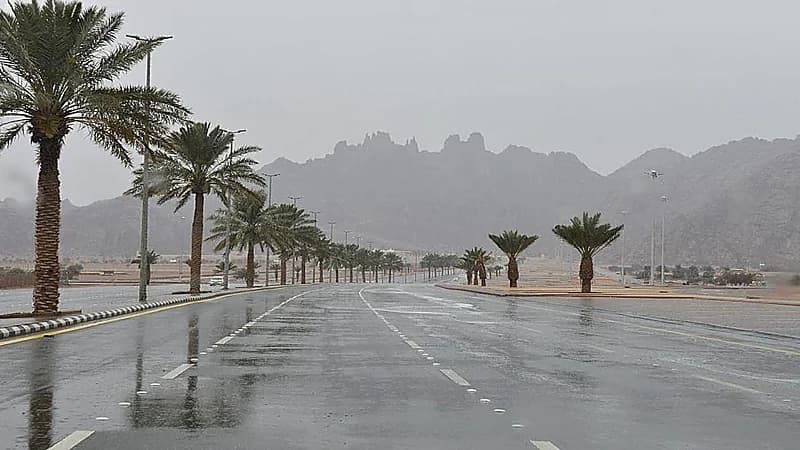 "الحصيني" يتوقع استمرار حالة حائل الممطرة