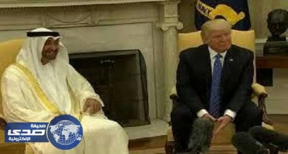 محمد بن زايد يبحث مع ترامب تعزيز التعاون المشترك