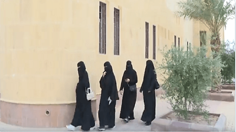 بالفيديو.. 31 نحالة سعودية تحترفن تربية النحل